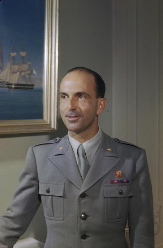 Consulta dei Senatori
                          del Regno